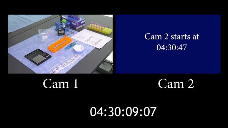 DAY 2 TWO CAM Timecode