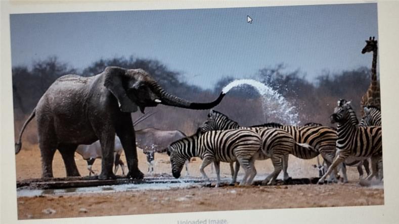 What was the best thing about working with Zyphertek?