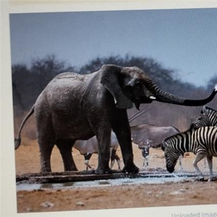 How was your post operative experience?