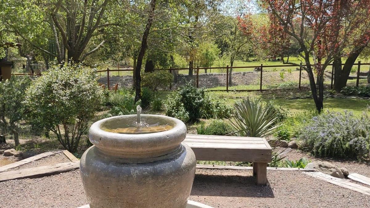 Bubbling fountain and breeze