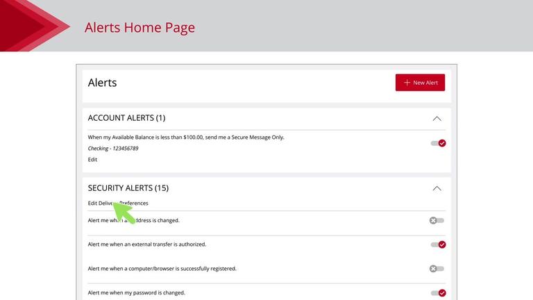 Security Alerts