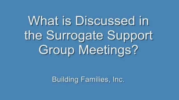 5 - What is discussed in the support meeting.wmv