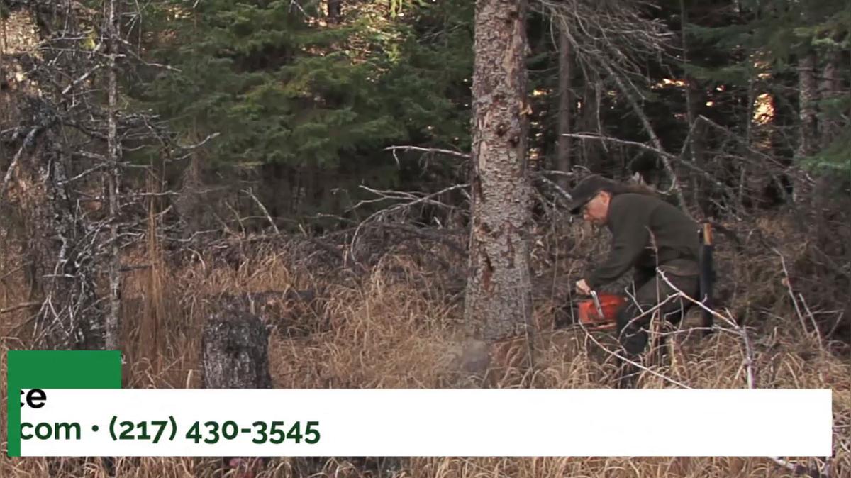 Tree Trimming in Mendon IL, Spank's Tree Service