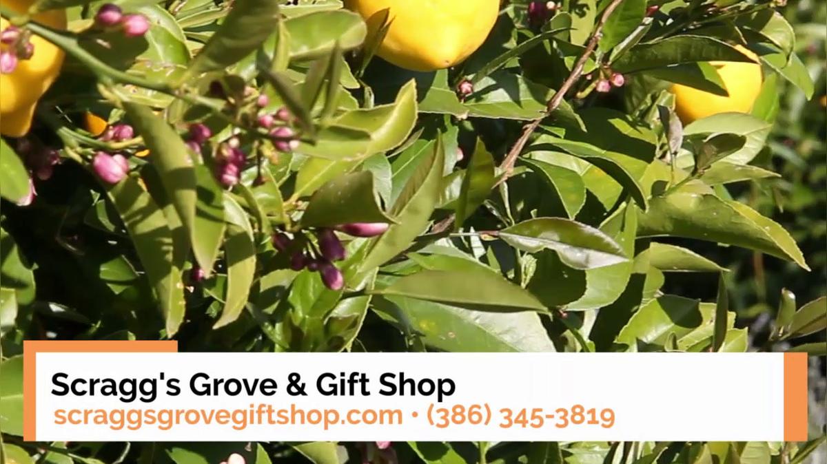 Gift Shop in Oak Hill FL, Scragg's Grove & Gift Shop