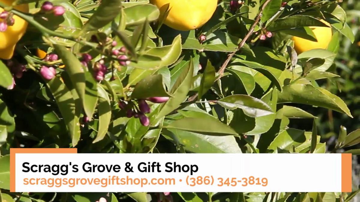 Gift Shop in Oak Hill FL, Scragg's Grove & Gift Shop