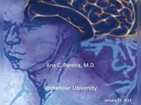 Cognitive Aging Disorders Risk Factors, Mechanisms and Potential Interventions