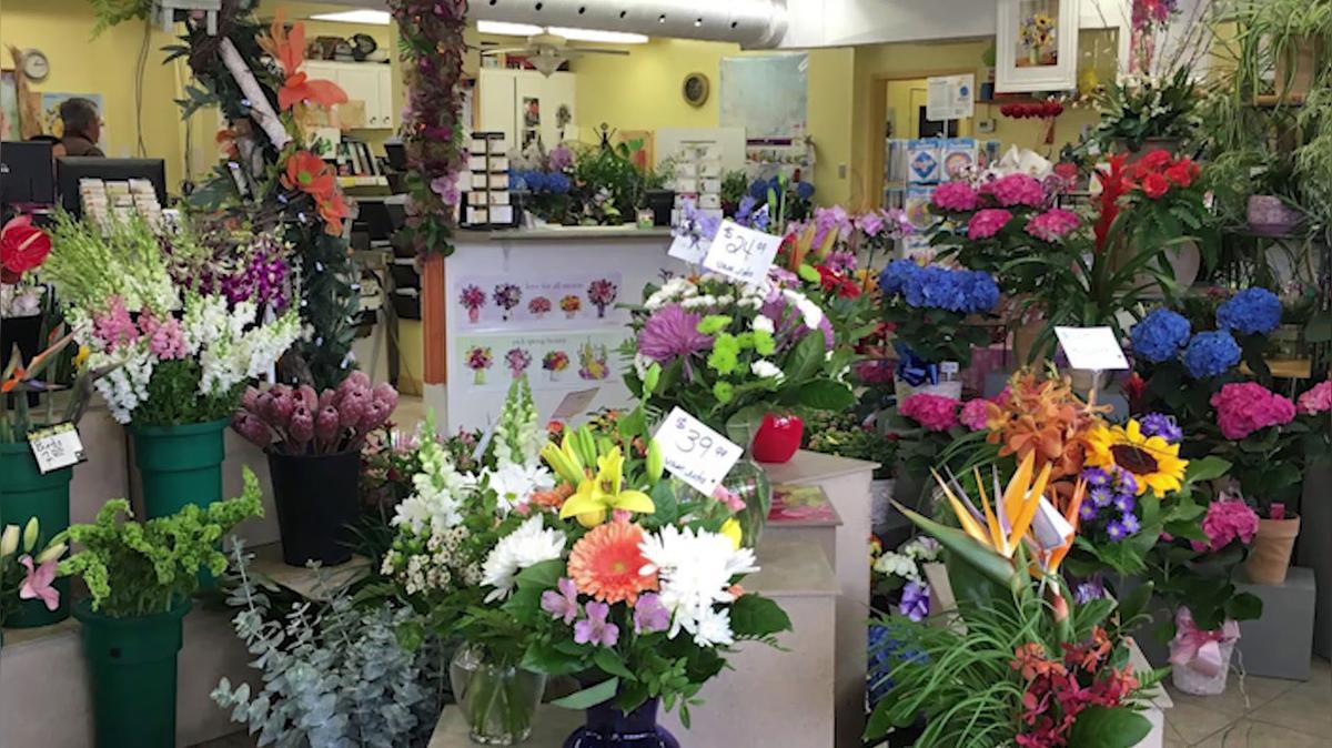 Florist in Burlington ON, Brant Florist
