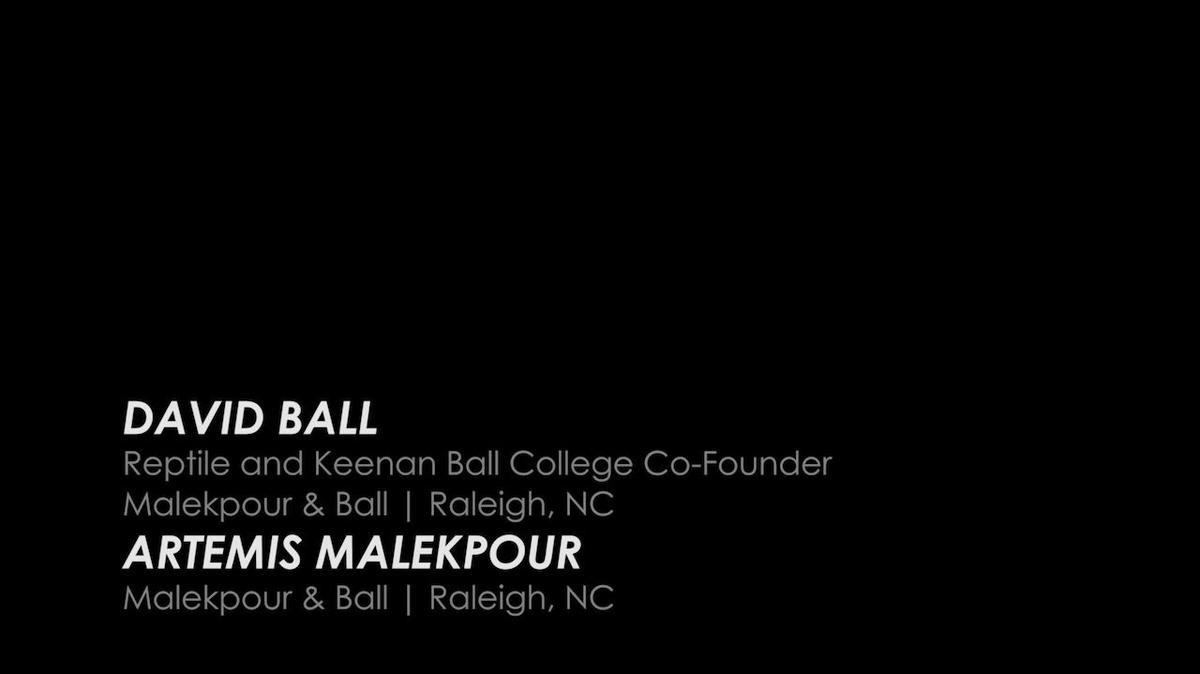 2017 Masters in Damages | 09 David Ball And Artemis Malekpour.mp4