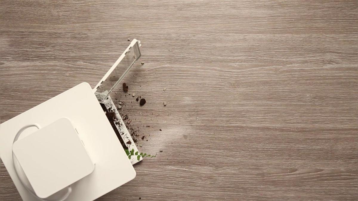 Ikea Hack: BORRBY Laternen Terrarium
