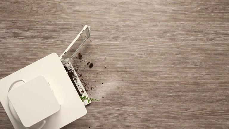 Ikea Hack: BORRBY Laternen Terrarium