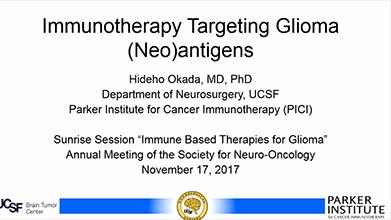 Immunotherapy Targeting Glioma (Neo)antigens