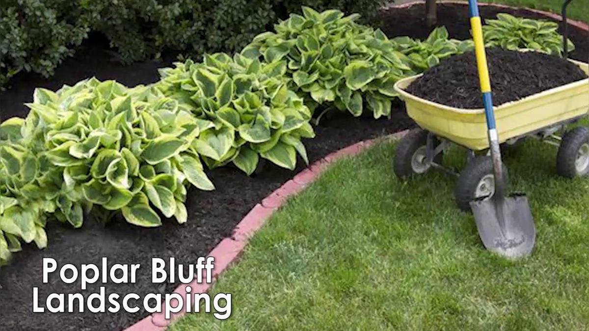 Tree Service in Poplar Bluff MO, Poplar Bluff Landscaping