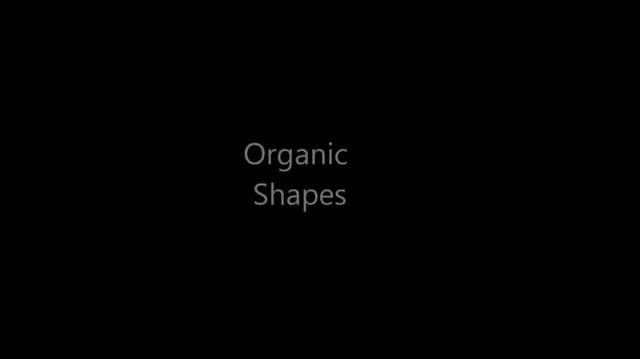 Organic Shapes Video.mp4