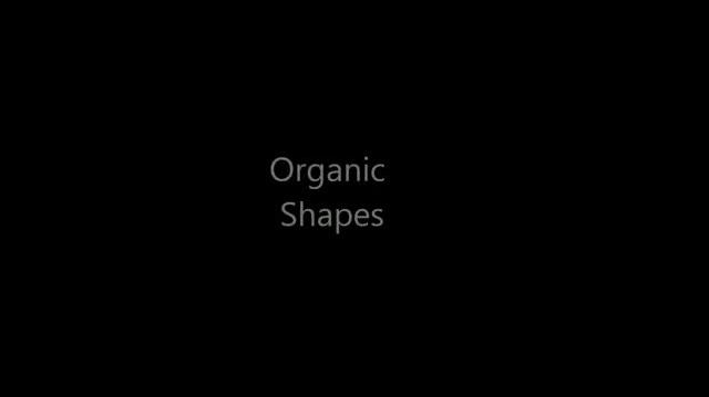 Organic Shapes Video.mp4