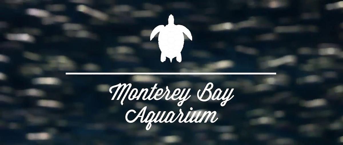 Monterey Bay Aquarium