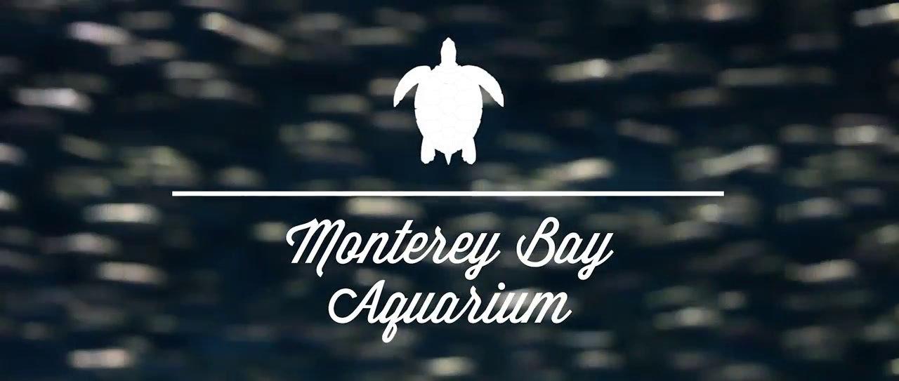 Monterey Bay Aquarium