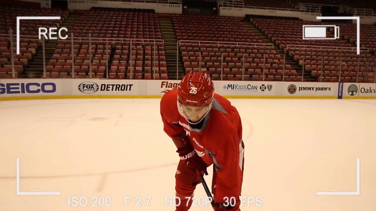 Red Wings - Tatar Fly