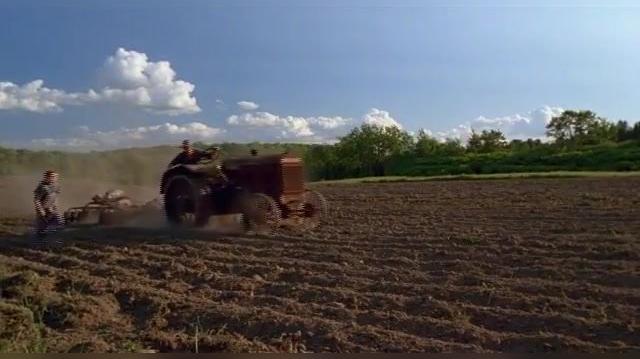 Run The Wild Fields directed by paul a. kaufman