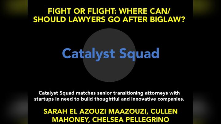 14. Catalyst Squad.mp4
