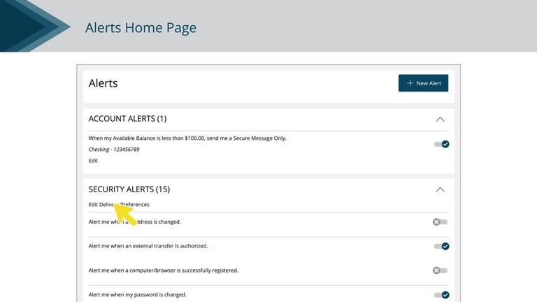 Security Alerts