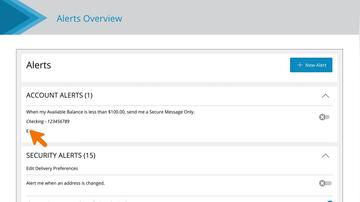 Alerts Overview