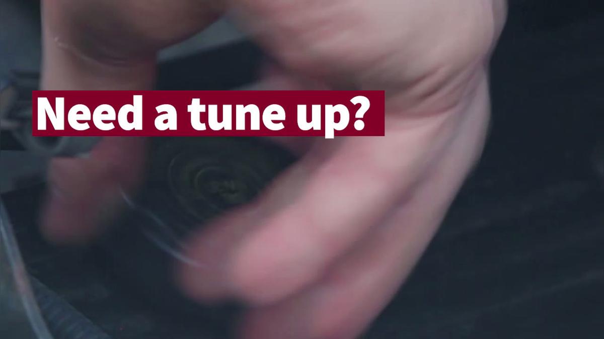 Oil Change in Lethbridge AB, Jiffy Lube