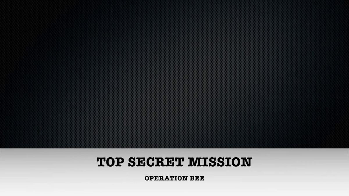 BeeTeam Videos