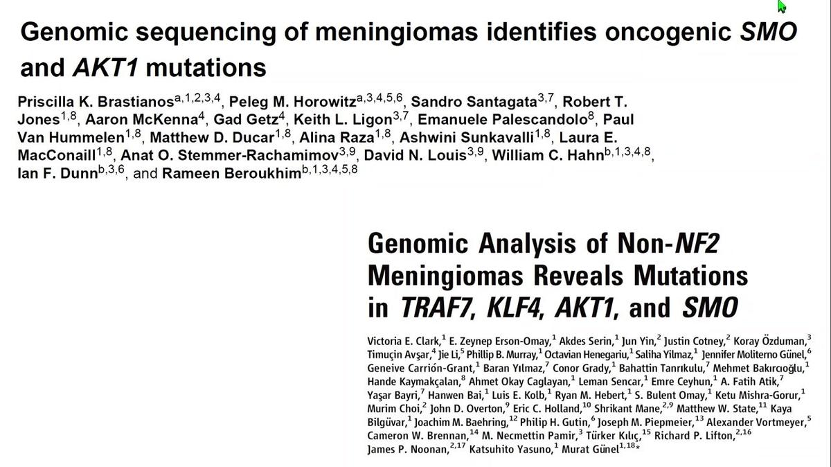 Precision diagnostics guiding meningioma care, Kenneth Aldape