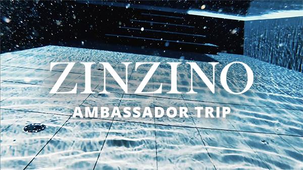 Zinzino Ambassador Trip 2019 Portugal