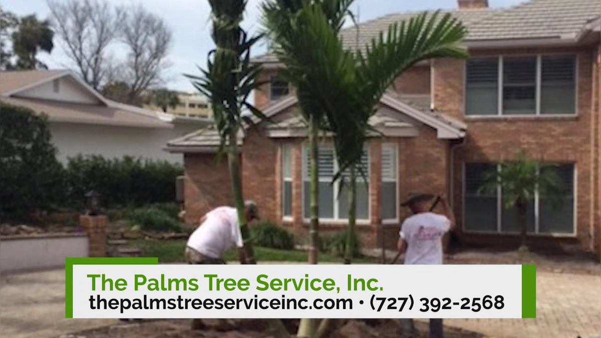 Tree Services in Saint Petersburg FL, The Palms Tree Service, Inc.