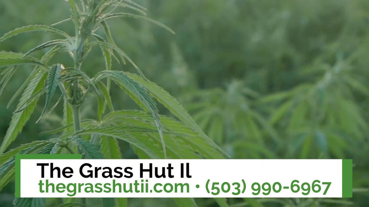 Marijuana Dispensary in Keizer OR, The Grass Hut Il