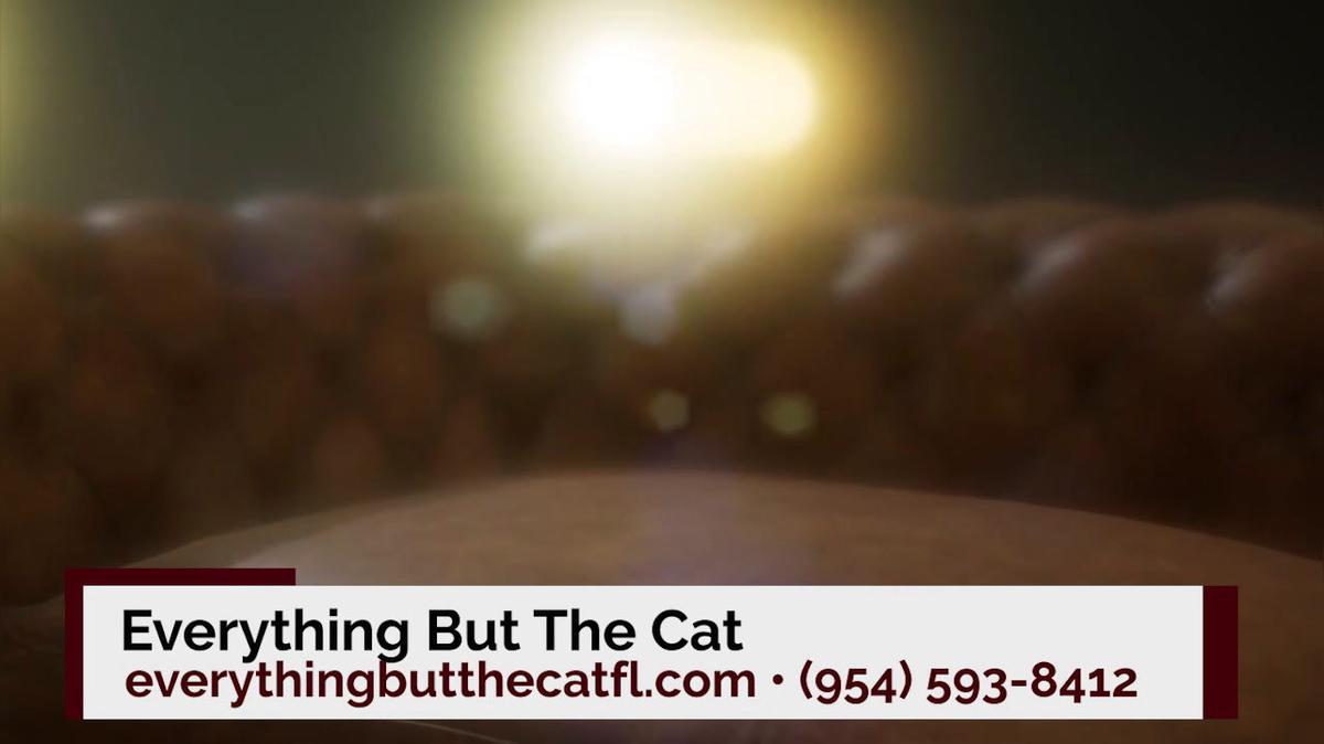 Antiques in Fort Lauderdale FL, Everything But The Cat