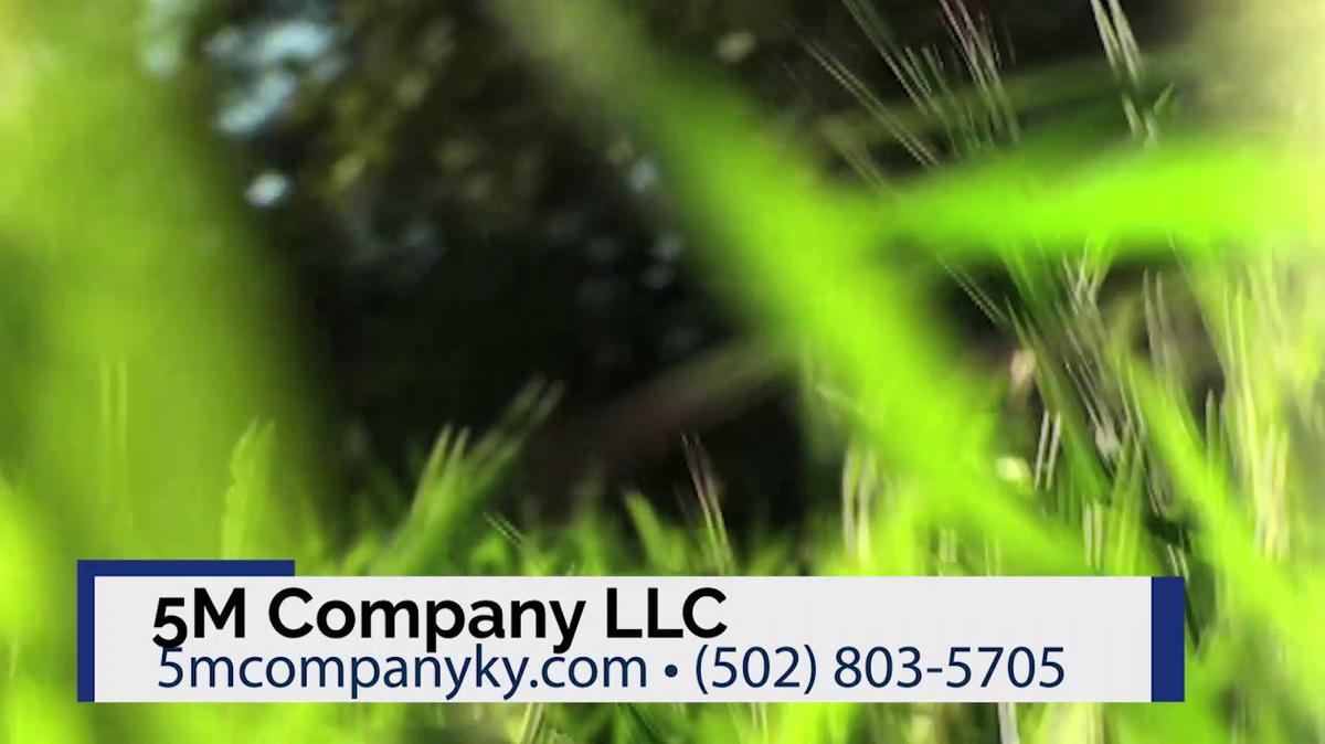 Lawn Mower Repair in Lawrenceburg KY, 5M Company LLC
