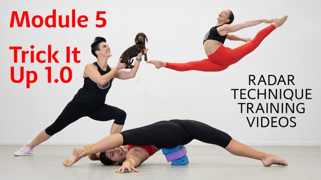 Module 5 Trick It Up