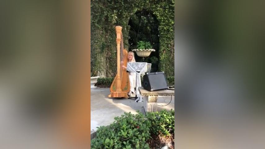 Harpist V.G..mp4