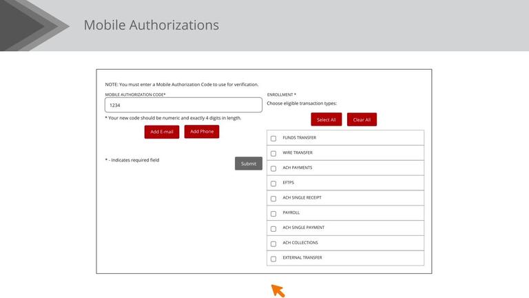 Mobile Authorizations