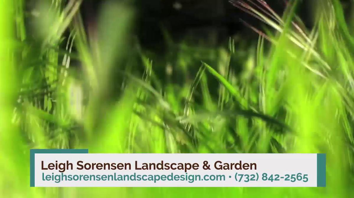 Landscape Design in Rumson NJ, Leigh Sorensen Landscape & Garden