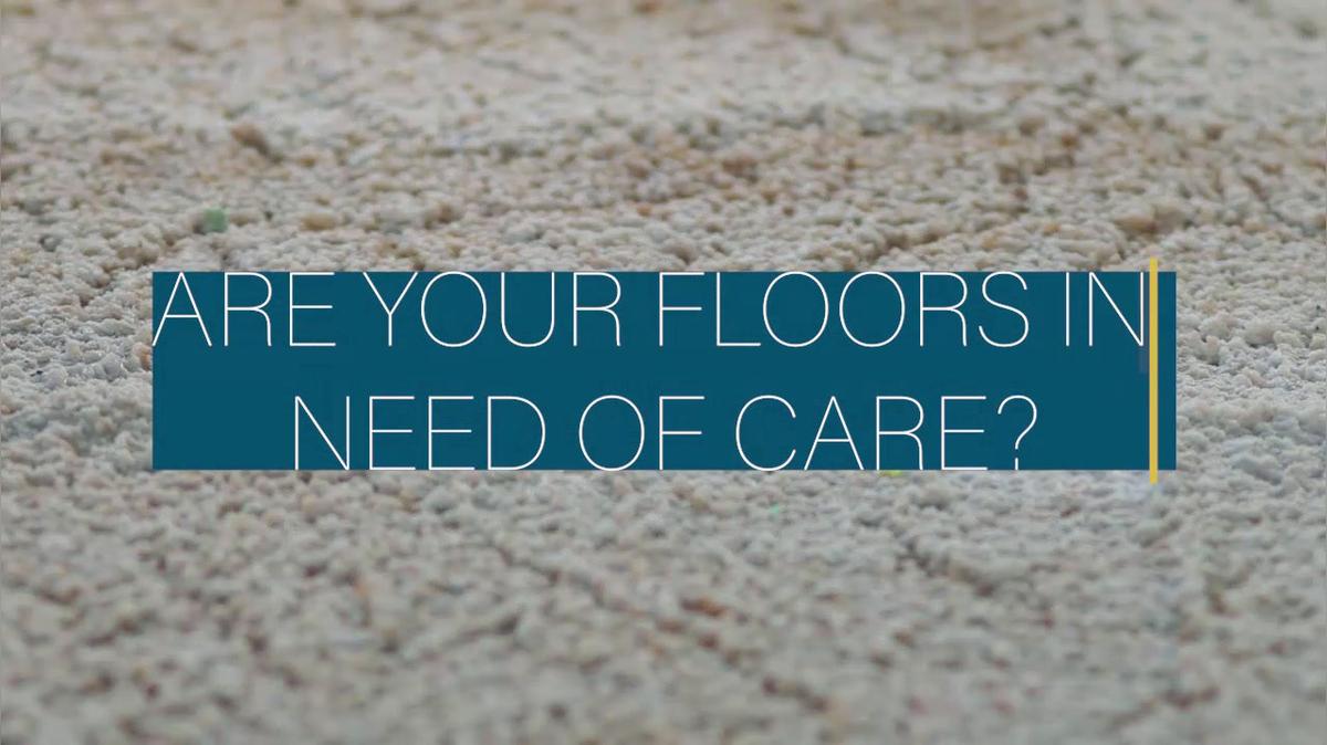 Carpet Cleaning in Red Deer AB, Steam Clean Express