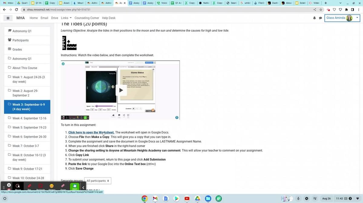 Week 3 Q1_ The Tides Assignment Tips _Astronomy
