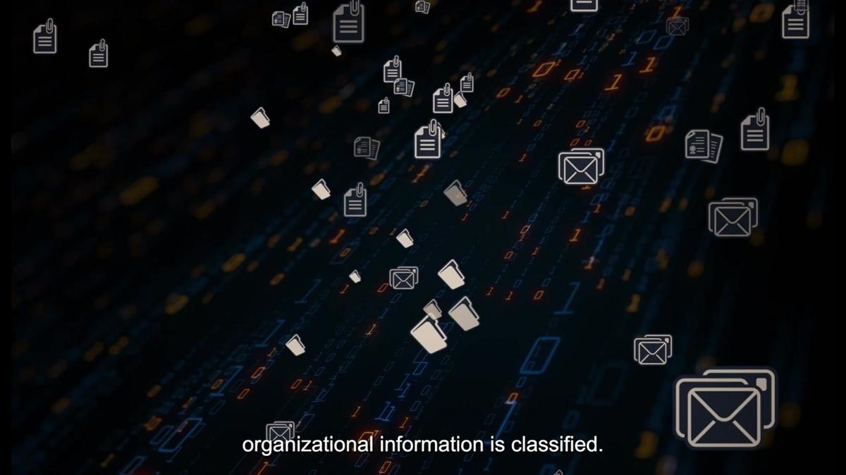 3 Classifying Organizational Information