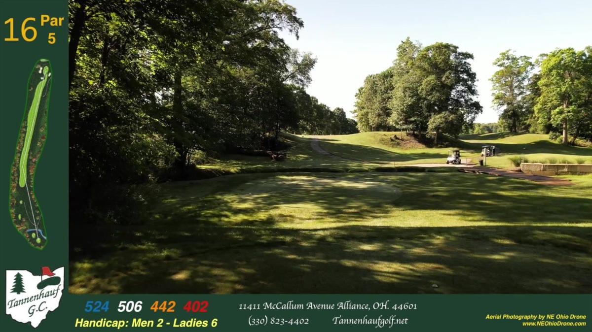 Tannenhauf Hole #16