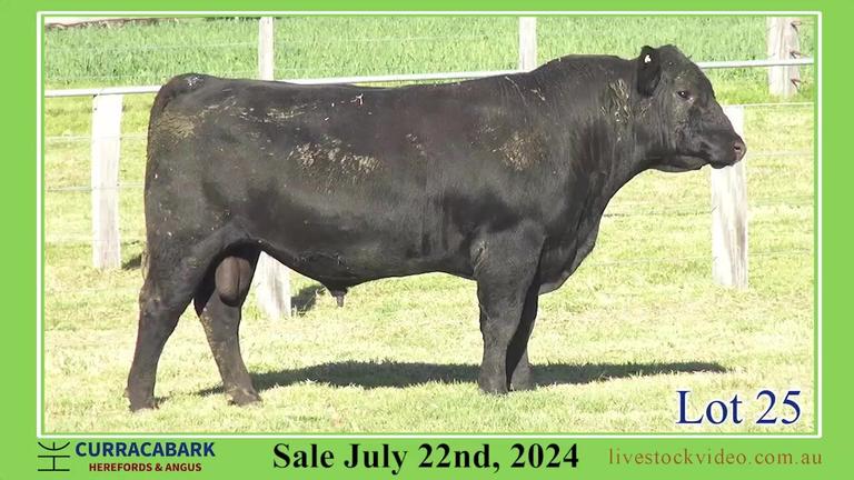 Lot 25