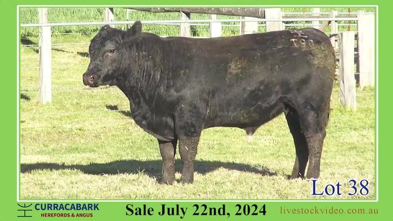 Lot 38