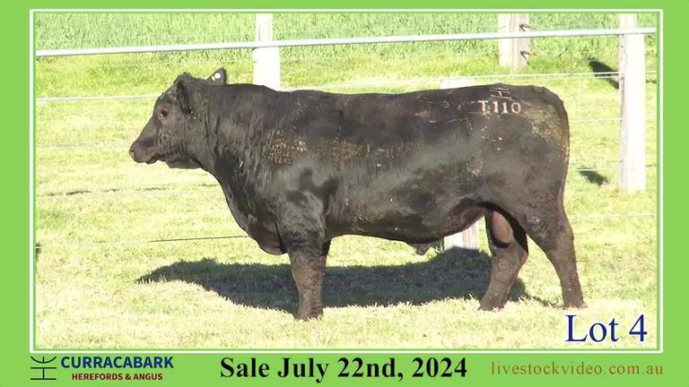 Lot 4