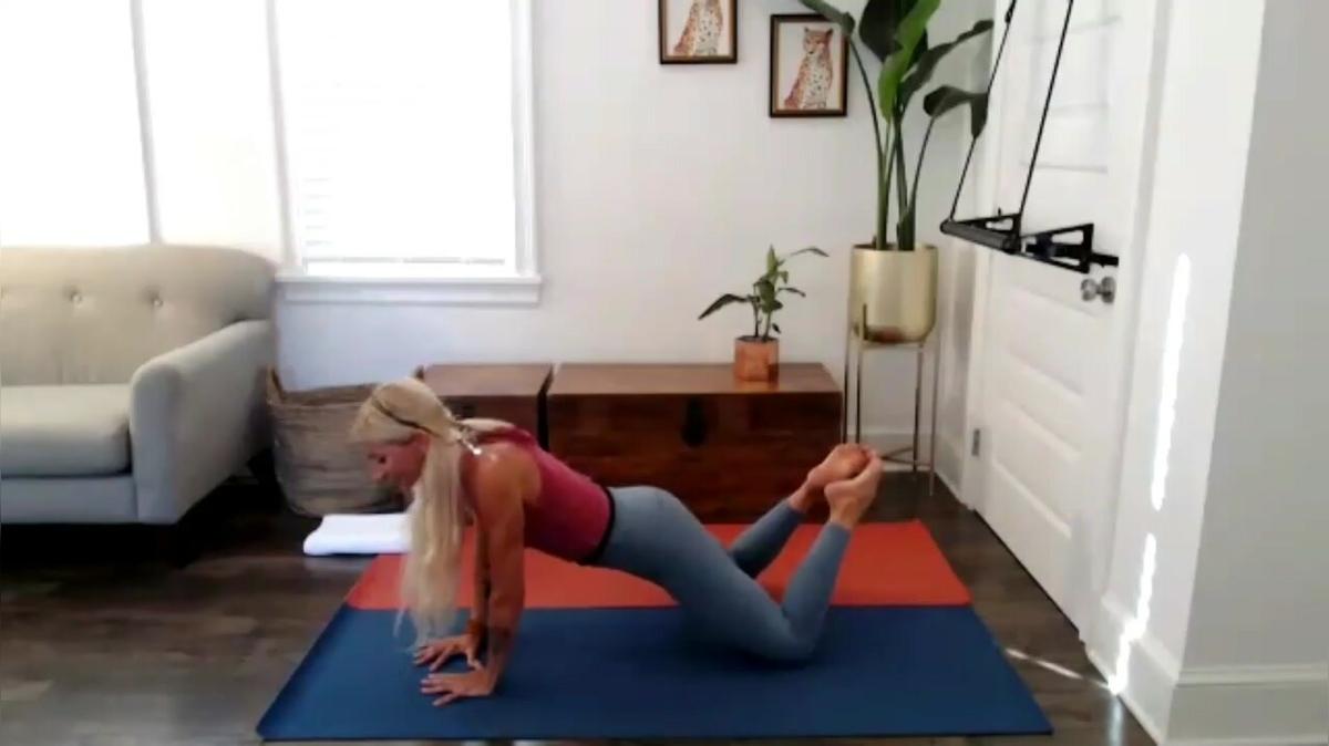 (0-Demo) Barre Pushups (modified)