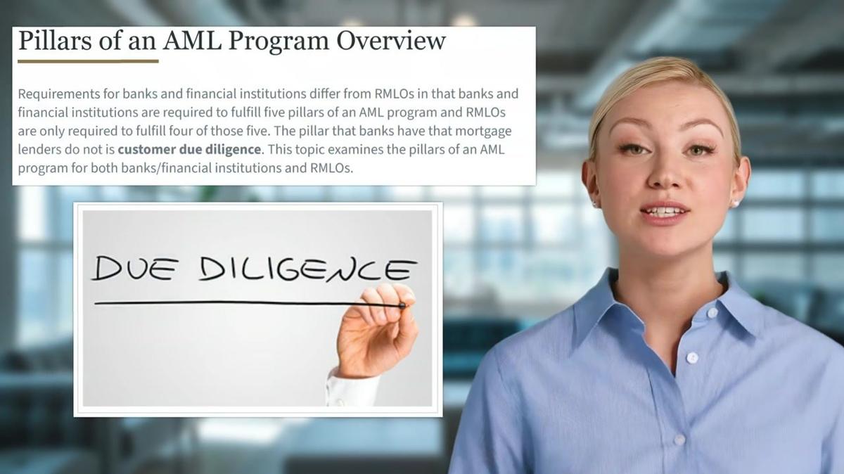 Pillars of an AML Program Overview