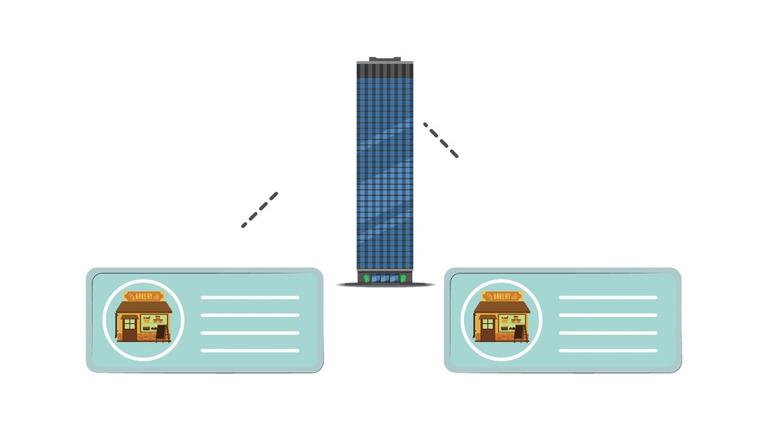 Company Management Overview
