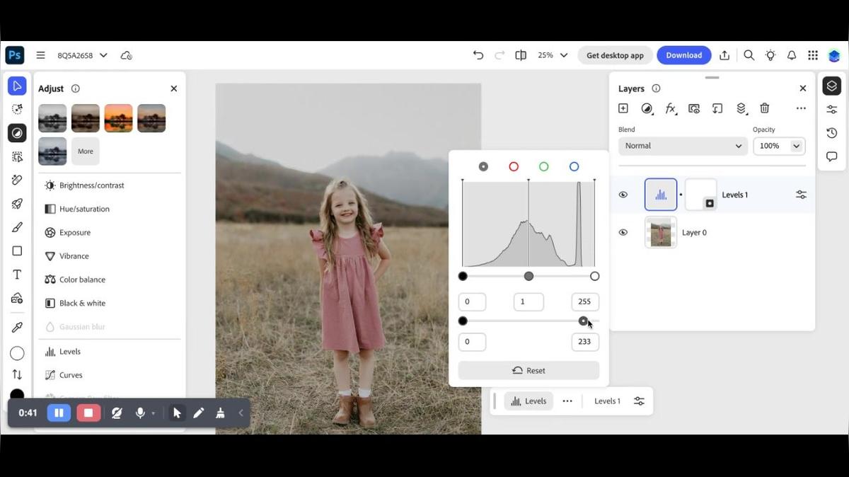 Photoshop on the Web: Levels