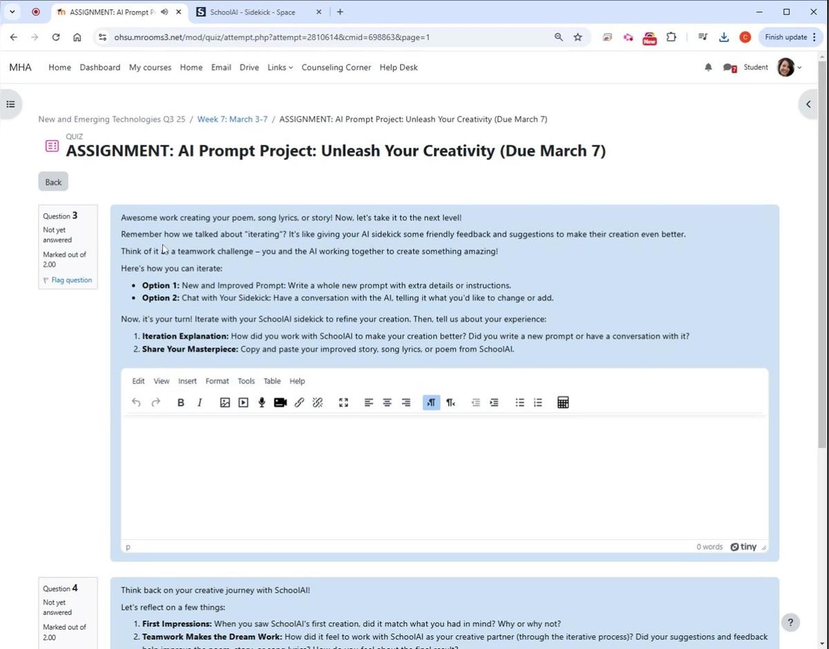 Prompts and Creativity Question 3