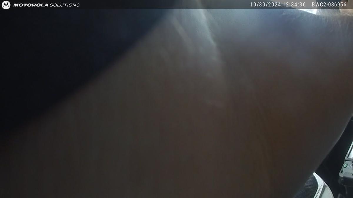 FPE282262 - Amiekumo - Body